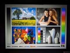 Weite IPS-Blickwinkel für stabile Farben im Portrait- und Landscape-Modus