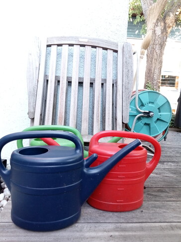 Hauptkamera, Automatikmodus