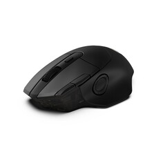 Die Maus ist asymetrisch (Bildquelle: JLab)