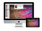 iBooks Author war eine praktische Software zur Erstellung von eBooks. (Bild: Apple)