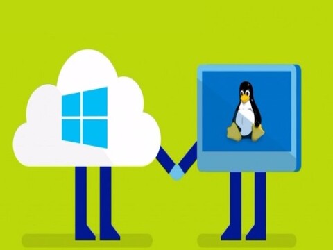 Linux Anwendungen nativ unter Windows 10 ausführen