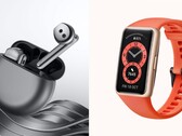 Wer die FreeBuds 4 vorbestellt, der kann sich ein Huawei Band 6 gratis schnappen. (Bild: Huawei)
