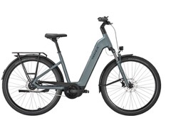 Strong EVO 5F Lite: E-Bike kann mit viel Gepäck belastet werden (Bildquelle: Pegasus)