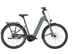 Strong EVO 5F Lite: E-Bike kann mit viel Gepäck belastet werden (Bildquelle: Pegasus)