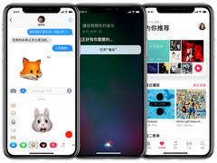 So populär ist das Apple iPhone X in China.