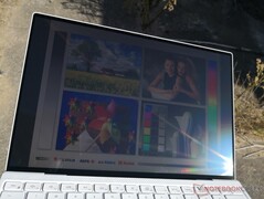 Draußen im Sonnenlicht