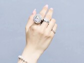 Der Tamagotchi wurde im Jahr 2021 bereits in eine Armbanduhr integriert, nun folgt erstmals ein Ring.