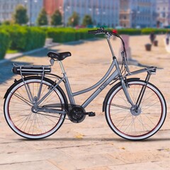 Rosendaal2: E-Bike bei Aldi im Angebot