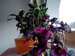 Aufnahme Frontkamera