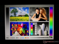 Breite IPS-Blickwinkel