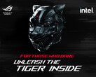 Unleash The Tiger Inside - 11. Mai 14.00 Uhr