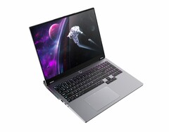 Auch Emdoor will bald einen Laptop mit AMD Ryzen Strix Halo anbieten. (Bildquelle: Emdoor)