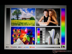 Großzügige IPS-Blickwinkelstabilität. Selbst bei extremen Blickwinkeln gibt es nur minimale Farb- und Kontrastabweichungen.