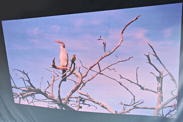 Leinwand im Freien (Tageslicht)