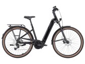 Premio Evo 12 Lite Auto: E-Bike mt automatischer Schaltung (Bildquelle: Pegasus)
