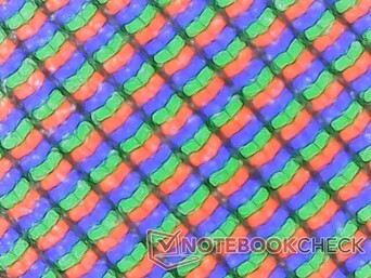 RGB-Subpixel unter einem matten Display