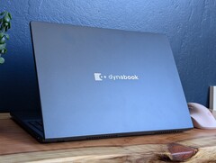 Wer einen neuen Laptop mit iGPU kauft, der sollte auf den Dual-Channel-RAM achten (Bildquelle: Notebookcheck)