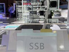 Festkörperbatterie von Sunwoda. (Bildquelle: CNEVPost)