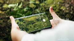 Das Huawei P50 Pro kann auch Makro-Fotos aufnehmen. (Bild: Huawei)