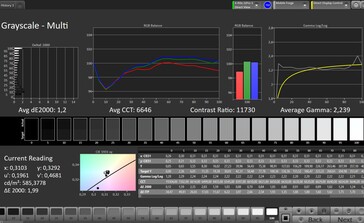 Graustufen (Profil: Professionell, Zielfarbraum: sRGB)