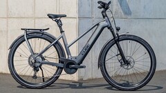 E-Bikes und Fahrräder: Das sind die beliebtesten Marken in Deutschland bei Fahrradversicherungen.