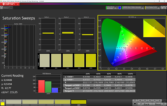 Sättigung (kalibriert)