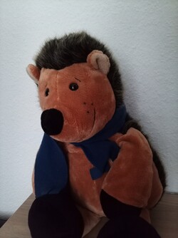 Die Qualität der Selfie-Kamera ist für die Videotelefonie akzeptabel