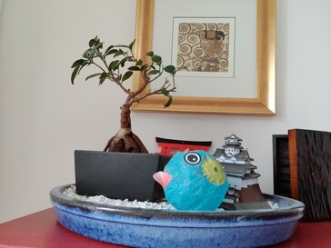 Aufnahme Frontkamera