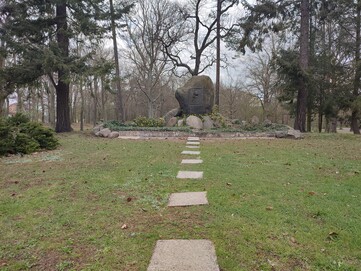 Redmi Note 10 Pro | Foto-Modus