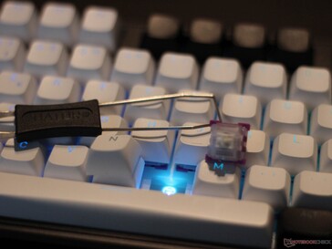 Die magnetischen Taster und die Tastenkappen lassen sich auswechseln