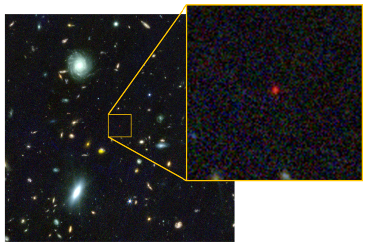 Der „Schwarzloch-Stern“ erscheint auf diesem Bild des James-Webb-Weltraumteleskops als winziger roter Punkt.