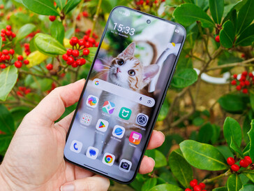 im Freien bei bewölktem Himmel