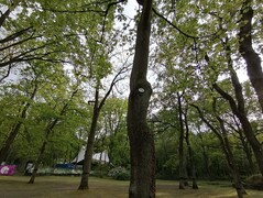 Huawei P30 Lite | Weitwinkel-Modus