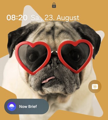 Test Samsung Galaxy Z Flip 7 Smartphone