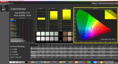 CalMAN ColorChecker (Profil: Display P3)