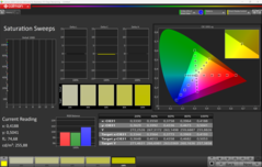 CalMAN Sättigung kalibriert
