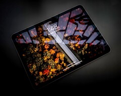Gerüchten zufolge sollte das Apple iPad Air der nächsten Generation ein OLED-Display erhalten. (Bild: Sayan Majhi)
