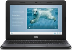PC-Markt: Dell legt deutlich zu, HP setzt weniger Chromebooks ab.