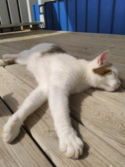 HDR-Aufnahme mit der Hauptkamera