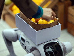 Der T1 Humanoide Roboter kann sich in einen Roboter-Hund verwandeln
