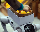 Der T1 Humanoide Roboter kann sich in einen Roboter-Hund verwandeln