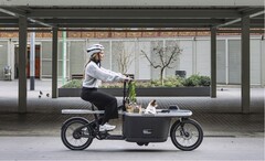 Das Tarran T1 Pro ist in wenigen Tagen erhältlich. (Bildquelle: Tarran)