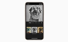 Apple rechnet auch im kommenden Quartal mit schlechteren iPhone-Verkäufen. (Bild: Apple)