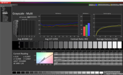 CalMAN - Graustufen (kalibriert)