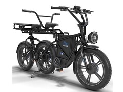 Dolas E-Bike Defender 250: Ungewöhnliches und starkes E-Bike