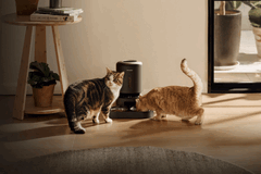 Petlibro Smart Pet Feeder. Bei einigen Geräten ist die Futterausgabe aufgrund des Stromausfalls nicht möglich.