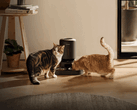 Petlibro Smart Pet Feeder. Bei einigen Geräten ist die Futterausgabe aufgrund des Stromausfalls nicht möglich.