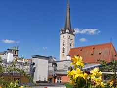 1-fache Vergrößerung Hauptkamera