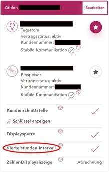 Im Smartmeter-Webportal kann die Anzeige des Verbrauchs im Viertelstunden-Intervall aktiviert werden. (Bildquelle: Webportal der Wiener Netze)