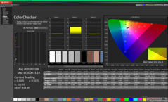 ColorChecker nach der Kalibrierung (P3)